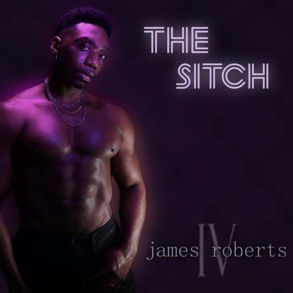 Cover art for The Sitch